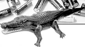 КРОКОДИЛ ЭКСИ: испытал на собственной шкуре батарейки всех видов