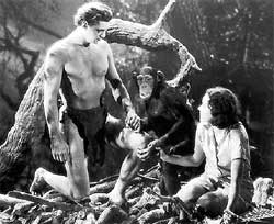 К/Ф «ТАРЗАН»: обезьянке тогда было всего три годика