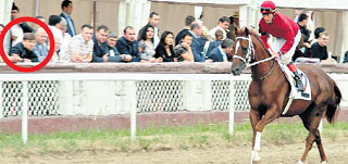 РОЙАЛ КВАЙД: оторвался от погони