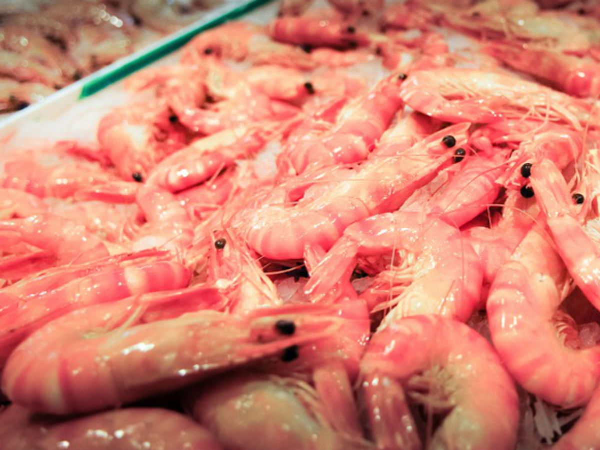 Креветки Коронавирус обнаружили в замороженных продуктах