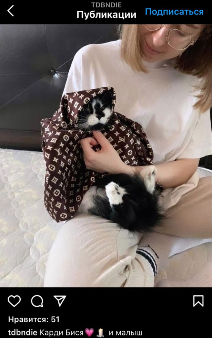 «Девушка