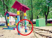 РУХНУВШЕЕ ДЕРЕВО: по счастливой случайности не покалечило ребенка