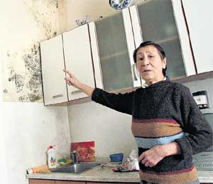 ГАЛИНА ГАСТЕВА: из-за соседки Брайчевой живёт в антисанитарных условиях