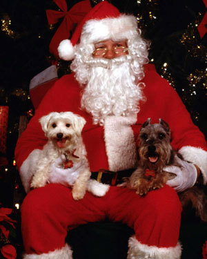 Французский «Дед Мороз» - Пер Ноэль